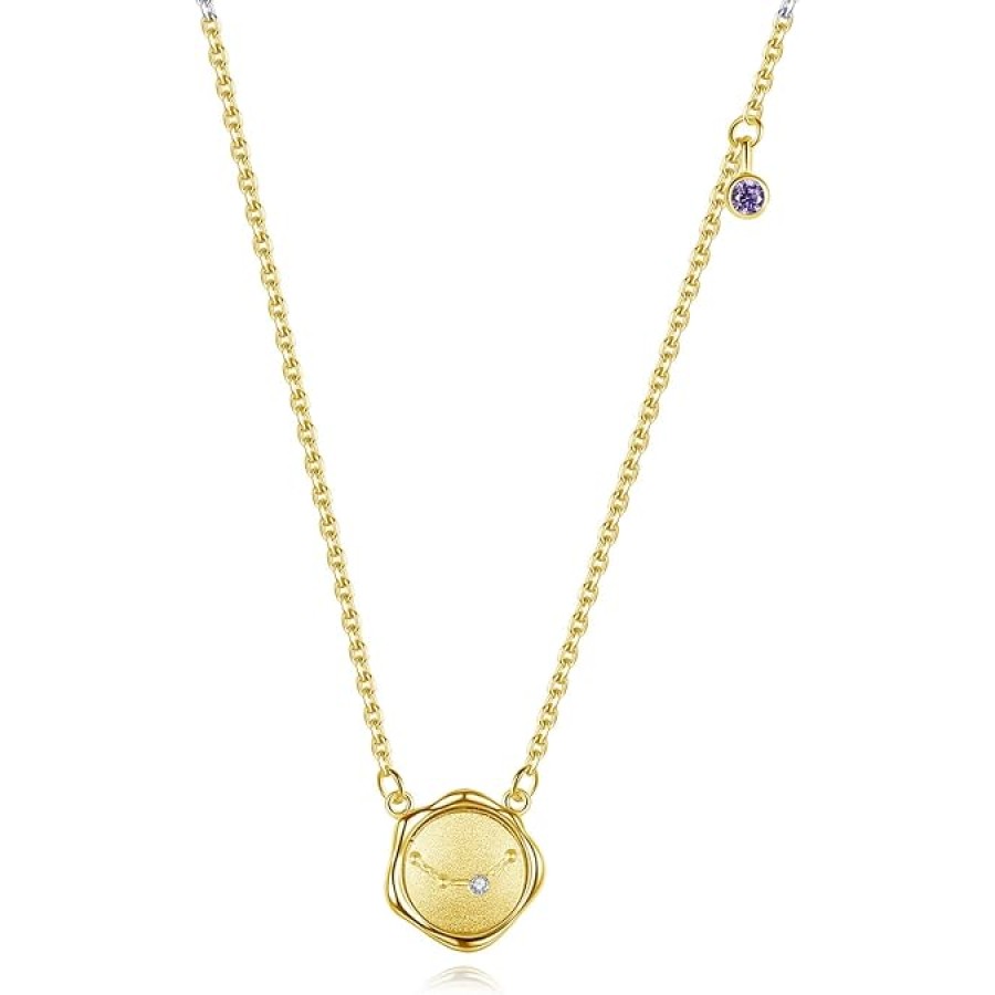 VIKI LYNN 925 Sterling Silver 12 Constellation Horoscope Zodiac Star Sign Necklace Birthstone Necklace for Women (Color: Aquarius) VIKI LYNN 925 Sterling Silver 12 Constellation Horoscope Zodiac Star Sign Necklace Birthstone Necklace for Women (Color: Aquarius)